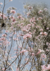 Mural MiX & MATCH Pink