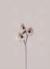 Mural FLORECER by Magia Deco Lab (cubre 5 m2) - comprar online