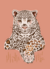 Mural MiX & MATCH Animalitos y cuadrillé en internet