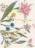 Mural FLORAL (cubre 5 m2) - tienda online