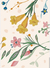 Lámina Floral - comprar online