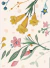 Lámina Floral - comprar online