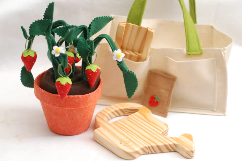 Kit Jardinagem