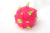 Pitaya na internet