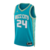 Camiseta NBA Charlotte Hornets City Edition 2023/2024 Azul y Verde Swingman