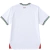 Back view of the Palestine Away 2024/2025 jersey for men, featuring a white design with green and red accents.