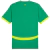 Camisa Away Senegal 2024/2025 Puma Verde Masculina Torcedor on internet