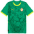 Camisa Away Senegal 2024/2025 Puma Verde Masculina Torcedor - buy online