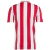 Back view of the Olympiacos Special 100th 2025 jersey featuring red and white vertical stripes.