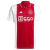 Front of the Ajax Home 24/25 jersey. Red details, prominent crest. Classic and elegant style.