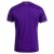 Anderlecht Home 2024/2025 Purple Fan Men Joma - buy online