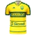 Cuiabá Home 2024/2025 Yellow and Green Fan Men Kappa