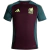 Men's Adidas Mexico Training Jersey for 2024/2025 in maroon and teal with Mexico logo.