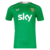 Camiseta Ireland Home 2024/2025 Hombre Castore