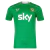 Ireland Home 2024/2025 jersey in green, featuring short sleeves and a round neck design, with the 'Sky' logo and a Celtic-themed badge.