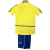 Brasil Retro Home 2002 Nike Yellow Blue - buy online