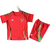 Kit Niños Pais De Gales Wales Home 2024 2025 Adidas Roja Verde