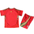 Kit Niños Pais De Gales Wales Home 2024 2025 Adidas Roja Verde - comprar online