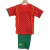 Portugal Retro Home 2004 Nike Red Green - buy online