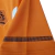 Camisa Holanda Retrô 2010 Laranja - Nike na internet