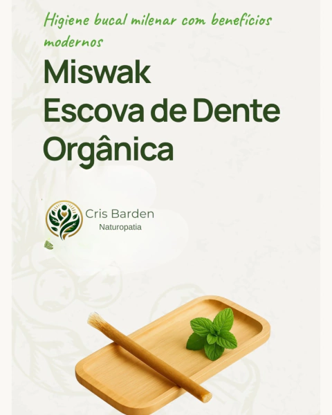Escova Dental Orgânica 100% Natural - comprar online