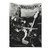 Bandeira Destruction - Banda - comprar online