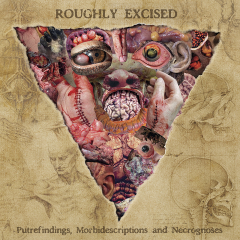 Lymphatic Phlegm - Roughly Excised - Putrefindings, Morbidescriptions and Necrognoses [Slipcase CD]