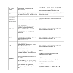 Trichoderma Roya – Fungicida Biológico | Control de Hongos, Raíces Sanas y Mayor Crecimiento
