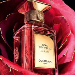 Rose Centifolia Extrait 1 Guerlain 50ml Compartilhável Frete Grátis na internet
