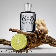 Castley Parfums de Marly 125 ml Masculino Lançamento 2025 Frete Grátis - loja online