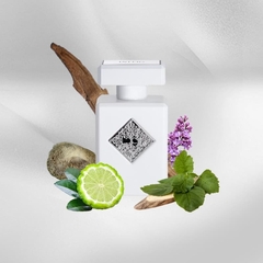 Rehab Initio Parfums Prives Compartilhável 90ML Frete Grátis - loja online