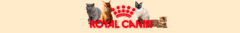 Banner de la categoría Nutrición Felina por Raza
