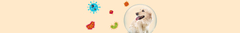 Banner de la categoría Antiparasitarios
