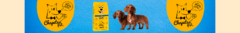 Banner de la categoría Chapetes Pet
