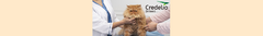 Banner de la categoría Credelio