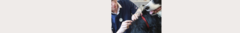 Banner de la categoría Dermatología