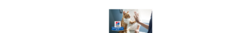 Banner de la categoría Prescription Diet Feline