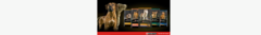 Banner de la categoría Purina Proplan