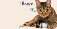Banner de la categoría Juguetes