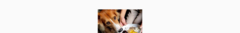Banner de la categoría Suplementos Alimenticios