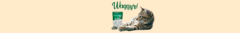 Banner de la categoría Waggy's!