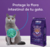 ALIMENTO HOLÍSTICO SECO KANTEK FELINOS PARA GATO ADULTO en internet