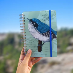 Cuaderno - Tacuarita Azul