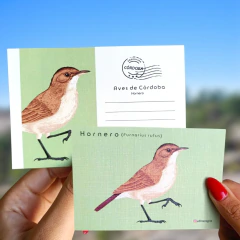 Postal - Hornero