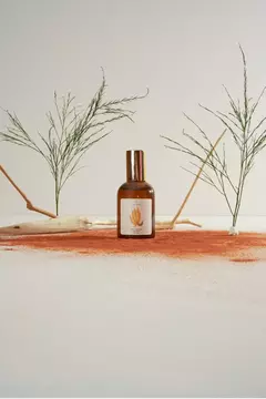 Cerrado Spray de Ambiente 60ml