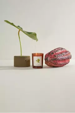 Mata Atlântica Vela Aromática 50gr