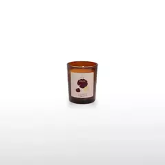 Amazônia Vela Aromática 50gr - comprar online
