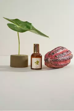 Mata Atlântica Spray de Ambiente 60ml