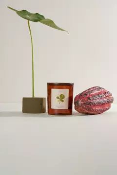 Mata Atlântica Vela Aromática 190gr