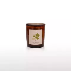 Mata Atlântica Vela Aromática 190gr - comprar online